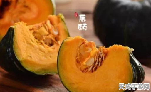 大航海探险物语深度攻略，揭秘贝贝子获取与蛋孵化技巧