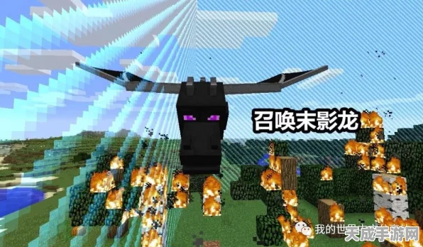 揭秘我的世界末影世界探险攻略，穿越维度，征服末影龙