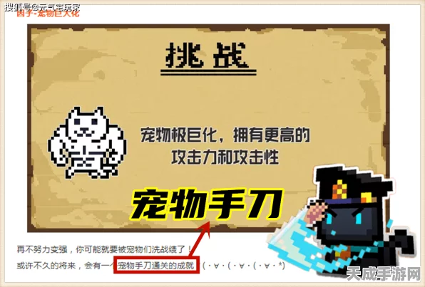 元气骑士宠物大揭秘，解锁战斗与探险的得力助手