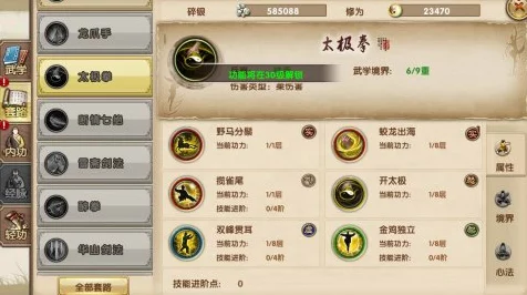 九阴真经手游，太极拳镇派武学深度揭秘，终极攻略助你称霸武林