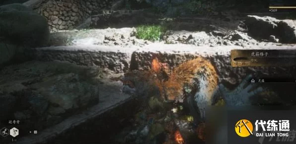 黑神话，悟空探秘——虎筋条子获取攻略与隐藏细节揭秘