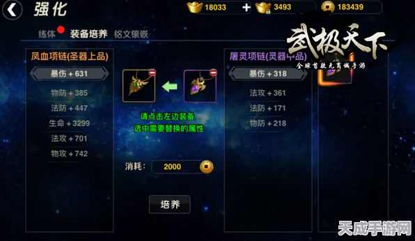 武极天下手游，全面解析装备获取秘籍与竞技策略