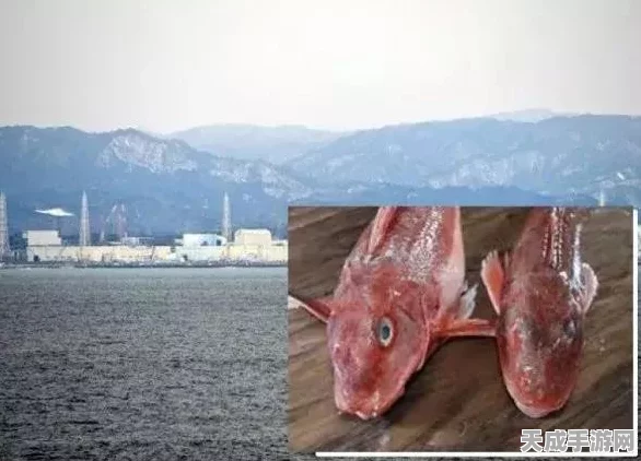 辐射4主机版攻略，高效找回失踪队友秘籍大公开