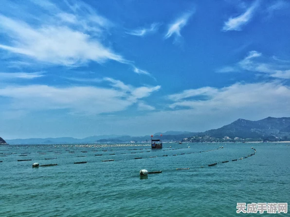 我的世界海带种植秘籍，打造海底农场的必备攻略