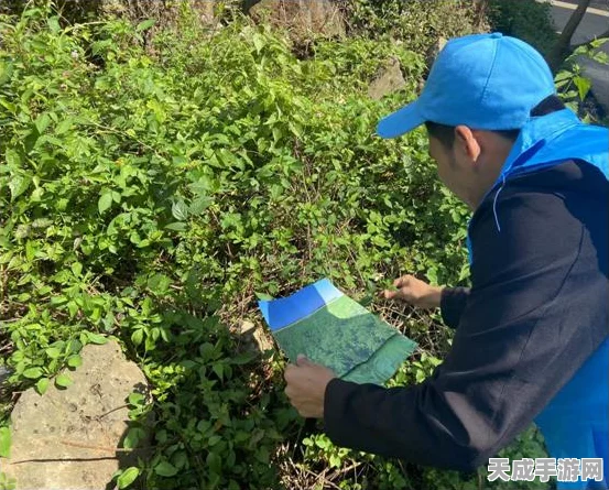 植物大战僵尸2，顶尖植物组合揭秘，打造无敌防线！