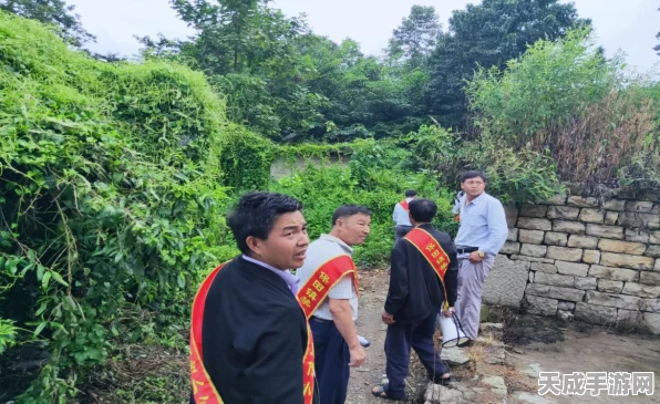 植物大战僵尸2，顶尖植物组合揭秘，打造无敌防线！