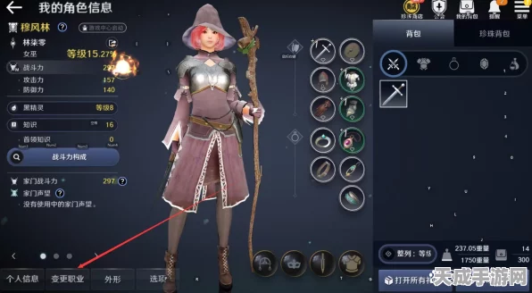 黑色沙漠手游，女巫技能加点全攻略，解锁极致魔法力量！