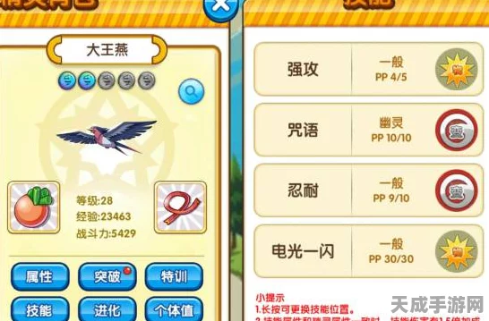 口袋妖怪白金版，大王燕性格搭配攻略，解锁竞技场新高度！