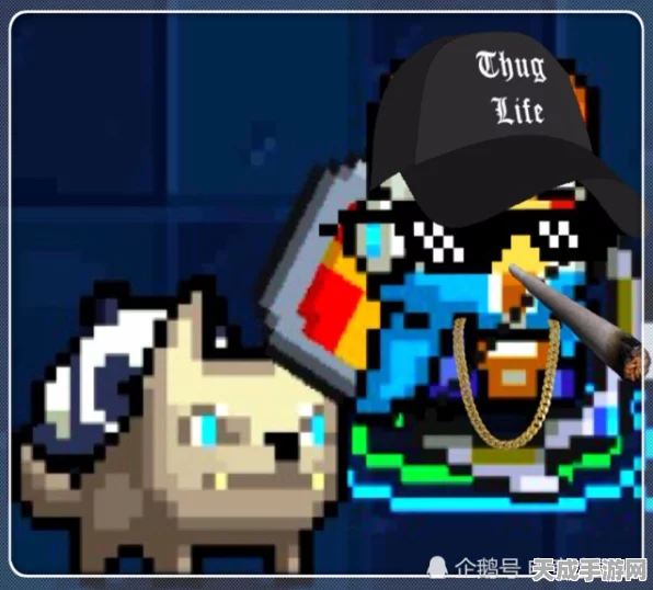 元气骑士，揭秘房间物品功效与升级秘籍，打造最强战斗基地！