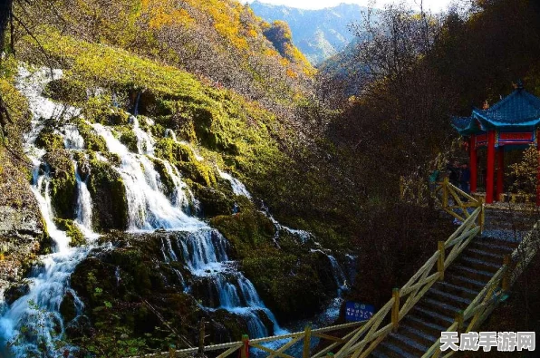 天涯明月刀手游图鉴摄影大赛攻略，解锁全图鉴拍照秘籍