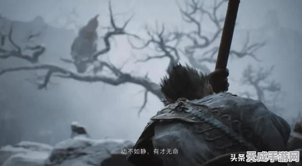 黑神话，悟空深度攻略——揭秘杨戬真结局触发秘籍
