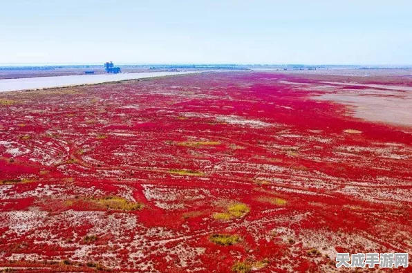 我的世界地形探索秘籍，全面掌握查找地形指令