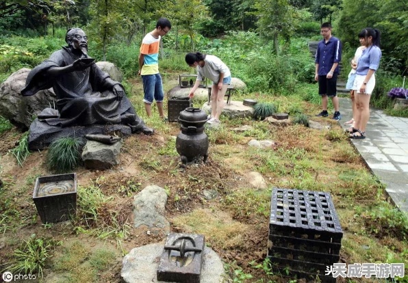 独家揭秘，大侠立志传中江南怪的养成攻略与实战技巧