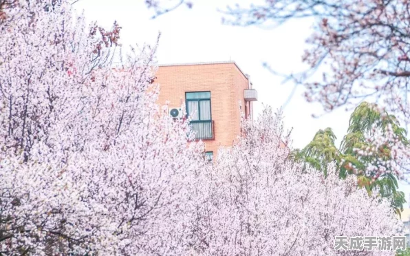 决战平安京，鬼女红叶返校季皮肤震撼登场，青春校园风燃爆竞技场