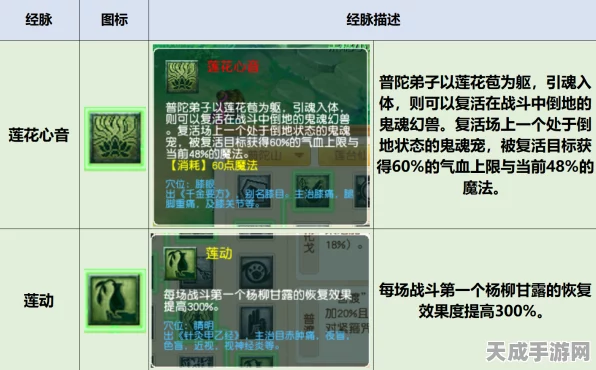 梦幻西游深度攻略，普陀山奇经八脉精准加点策略揭秘