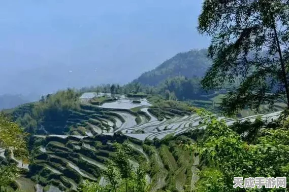 烟雨江湖绝学揭秘，七星剑法全攻略与珍稀获取渠道，助你称霸武林！
