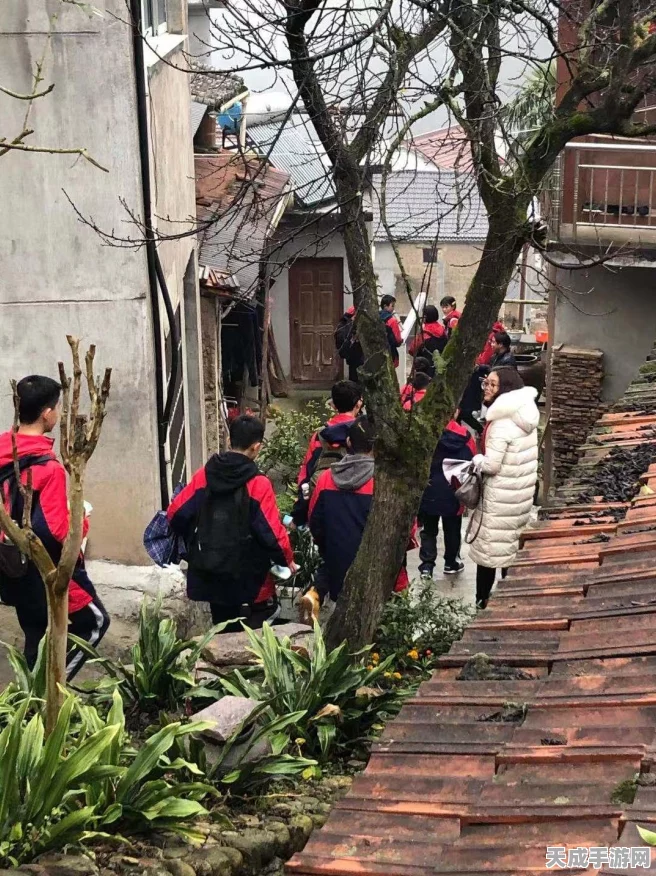 烟雨江湖绝学揭秘，七星剑法全攻略与珍稀获取渠道，助你称霸武林！