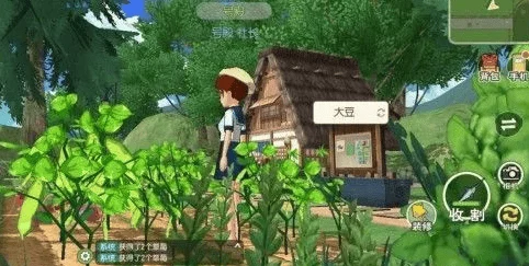 小森生活，揭秘超级农作物，解锁高效种植新篇章