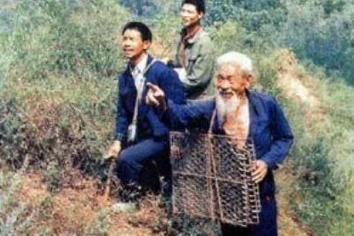 我的世界高手秘籍，打造高效捕狼陷阱，驯服野狼不是梦！
