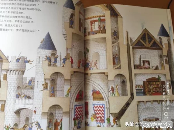 地下城堡2图8终极挑战，揭秘三本书攻略，直击最后一关通关秘籍