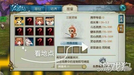 诛仙手游，宠物养成全攻略，打造你的专属灵兽！