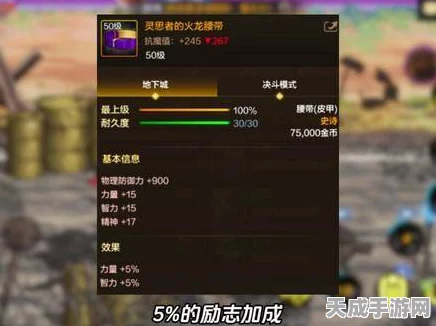 DNF手游攻略，全面解析火属性抗性提升秘籍