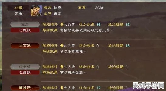 三国志13新手进阶宝典，全面攻略与必胜秘诀大揭秘