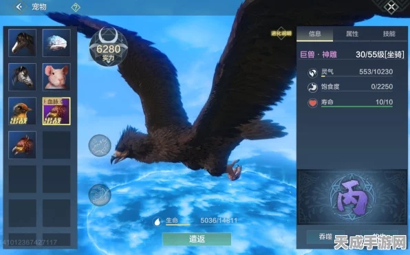 妄想山海，赤翎雕捕捉全攻略，珍稀异兽位置大揭秘！