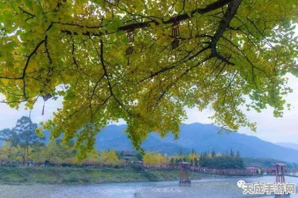 烟雨江湖青城山宝箱解锁秘籍，探寻武侠世界的隐藏宝藏