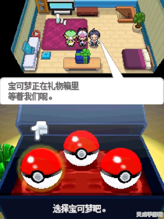 口袋妖怪黑白版，揭秘不可思议礼物的神秘赛事