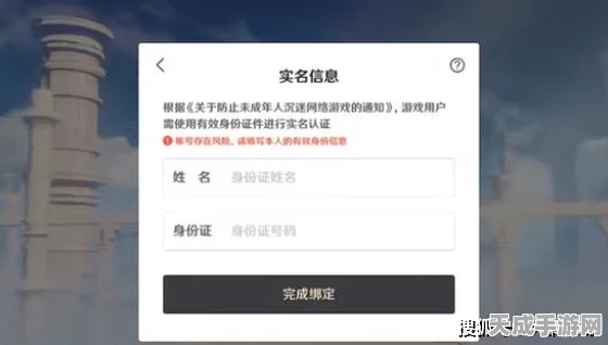 揭秘原神私服验证码获取流程，安全警示与正规途径指南