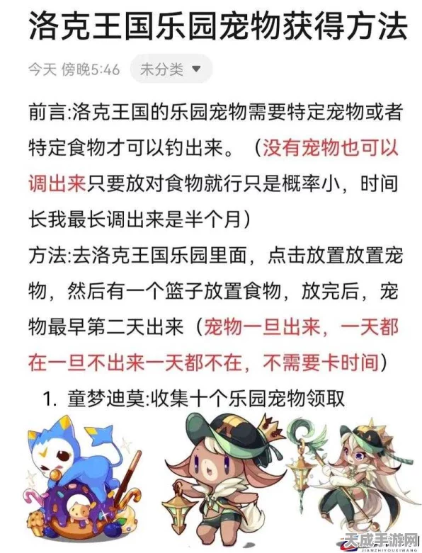 洛克王国乐园揭秘，宠物吸引全攻略及最新时效分析
