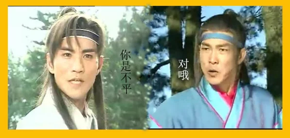 枪法如龙，剑影传奇，大侠决战武林之巅