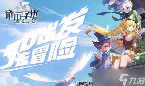 命运圣契新手速成秘籍，解锁高手之路的实战技巧与深度解析