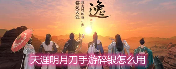 天涯明月刀手游，银两高效利用攻略，解锁江湖新境界