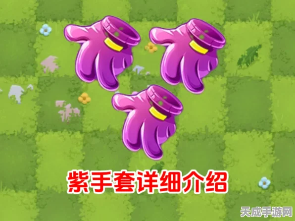 紫色手套大揭秘，植物大战僵尸2紫色手套攻略详解，提升攻击力、攻速与能量豆获取