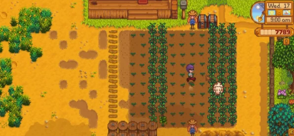 星露谷物语夏日种植攻略，解锁夏季作物丰收秘籍
