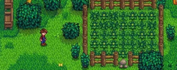 星露谷物语夏日种植攻略，解锁夏季作物丰收秘籍