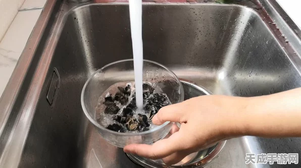 妄想山海手游，独家揭秘糟溜鱼片食谱，赢取烹饪大赛冠军秘籍！