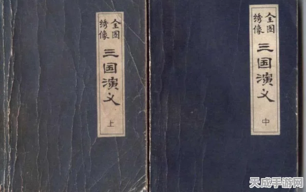 拼战三国志，解锁哪吒终极攻略，称霸三国战场秘籍