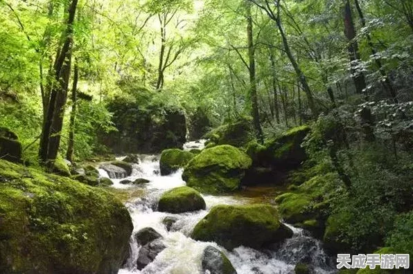 梦幻西游教师节庆典，丰厚奖励与趣味挑战等你来战！