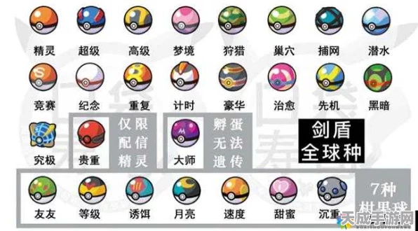 宝可梦剑盾，揭秘先机球购买地点与用途，助你捕捉心仪宠物！