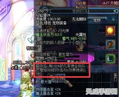 DNF捡取型宠物深度解析，解锁游戏效率飞速提升的秘密！