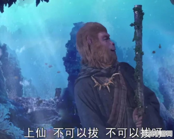 梦幻西游无双版，龙宫法宝搭配秘籍大公开