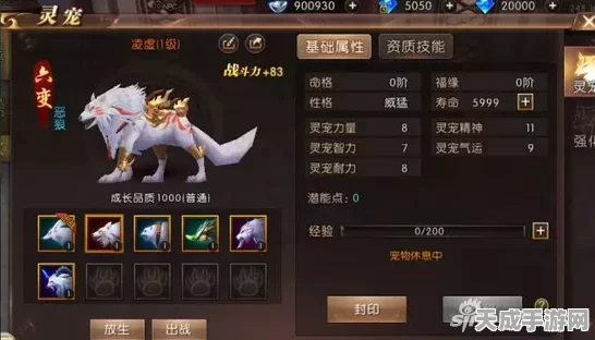 轩辕传奇玄海演习，揭秘首胜礼包重置机制，再战赢取丰厚奖励