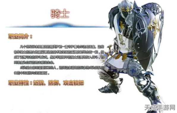 FF14骑士终极指南，解锁战斗艺术的全面攻略