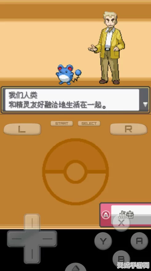 口袋妖怪心金，揭秘性格固定机制与对战策略新篇章