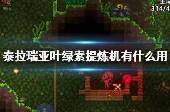 泰拉瑞亚深度揭秘，提基图腾获取与用途全攻略