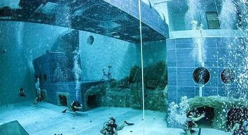 烟雨江湖蓝鲸屿挑战揭秘，食脑巴戈全攻略与实战技巧深度剖析