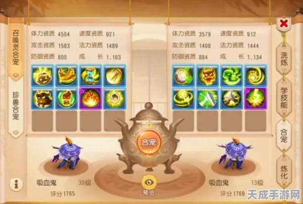梦幻西游手游，深度解析装备洗练技巧与策略